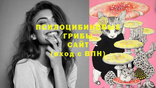гашик Балабаново
