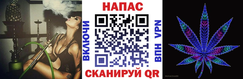 Бошки Шишки конопля  Нефтекумск 